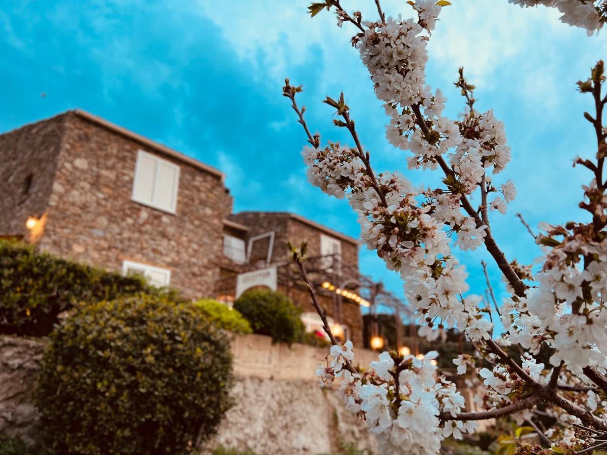 Casa Di Babbo Bed & Breakfast Macinaggio  Exterior photo